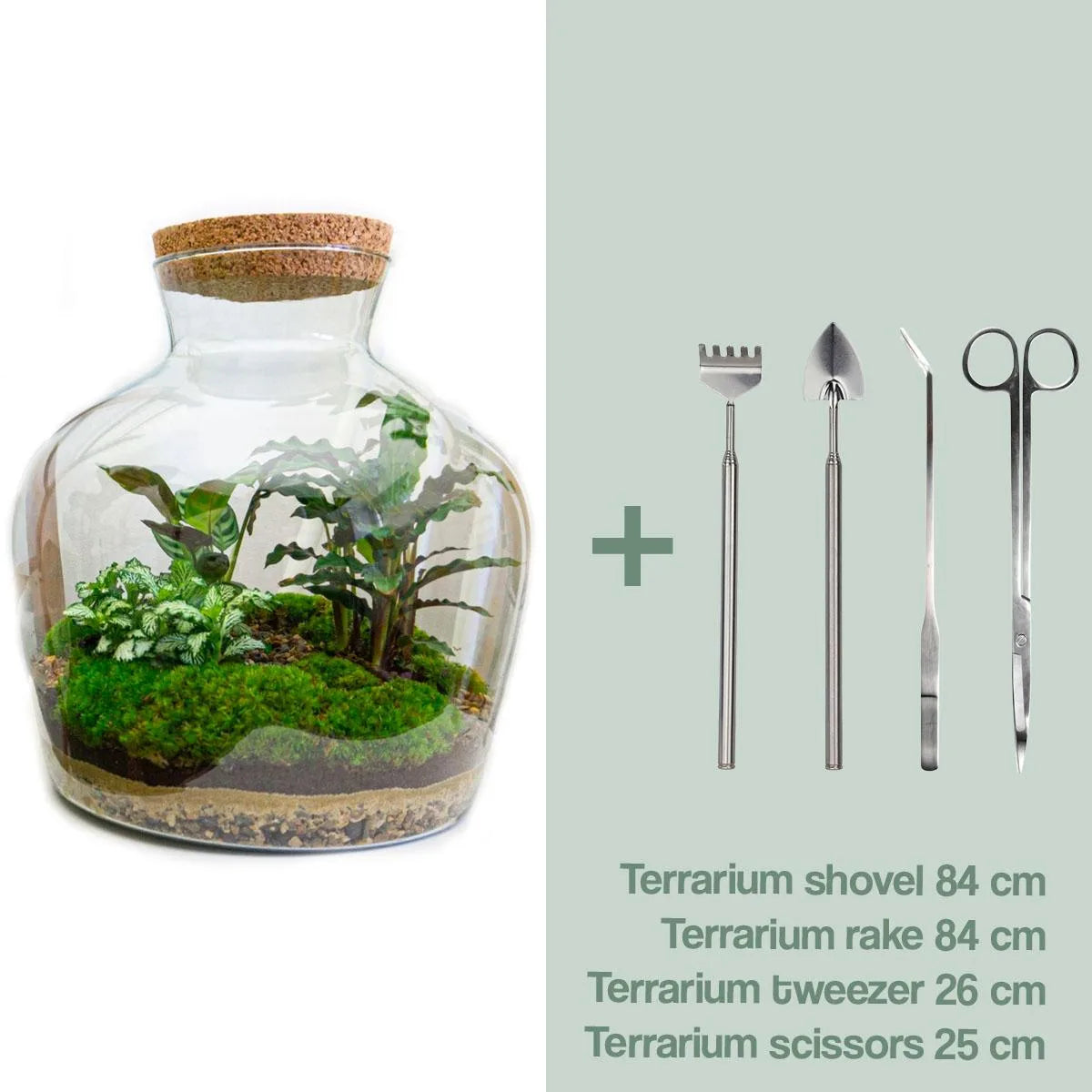 Flaschengarten - Sam XL - ↕ 35 cm - Rake + Shovel
