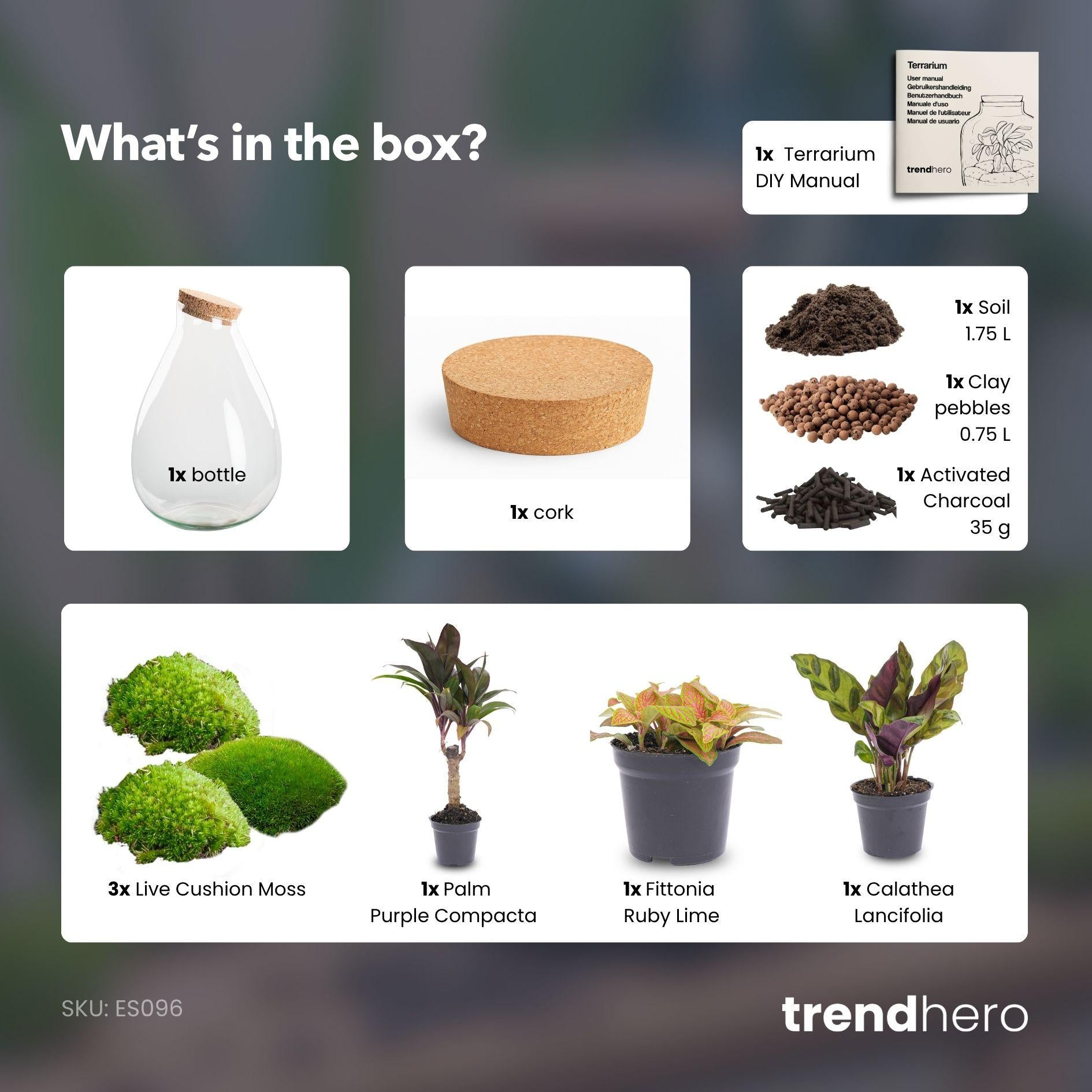 Flschengarten Drop XL - dekoratives Pflanzen - Terrarium im Glasgefäß