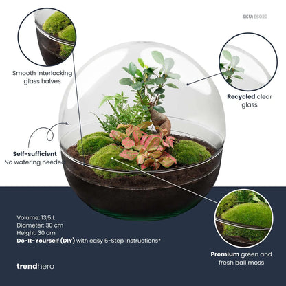 Flaschengarten - Dome XL (30 cm) - Ficus Ginseng Bonsai - Rechen + Schaufel