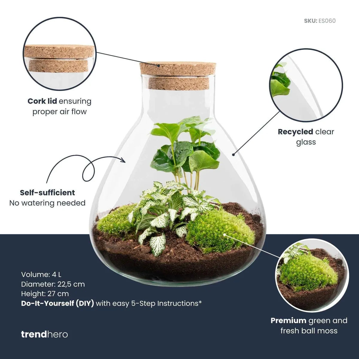 Flaschengarten-Paket Coffea Arabica
