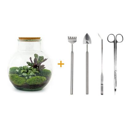 Terrarien-Flasche mit Beleuchtung - Sam - Ø 24,5 cm ↑ 30 cm