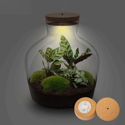 Flaschengarten - Fat Joe - ↕ 30 cm - Werkzeugset