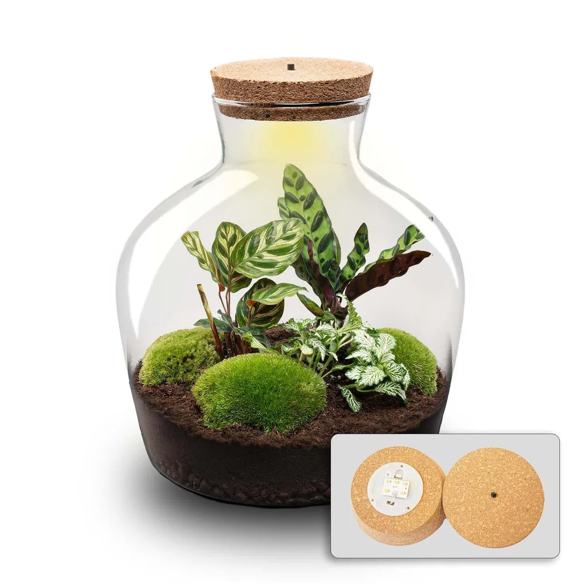 Flaschengarten - Fat Joe - ↕ 30 cm - Rechen + Schaufel