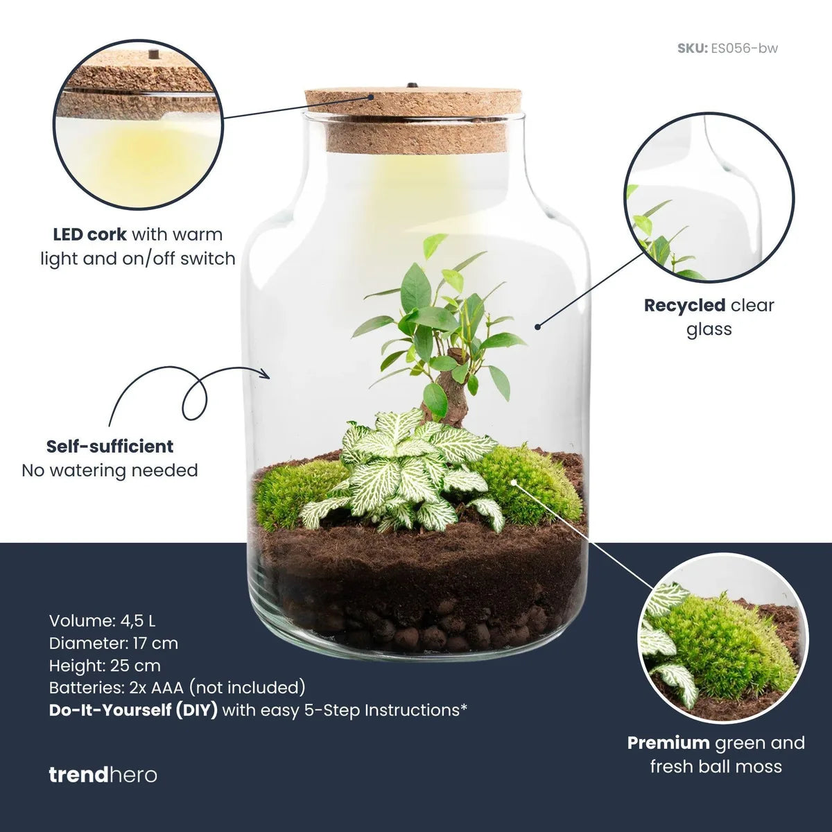 Flaschengarten mit Licht - Little Milky Bonsai