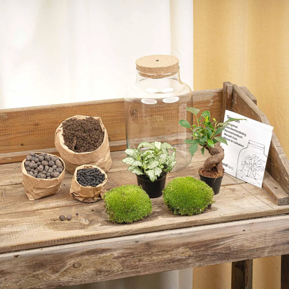 Flaschengarten mit Licht - Little Milky Bonsai