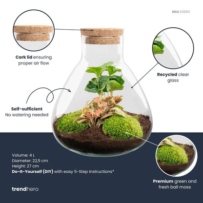 Terrarien-Flasche mit Beleuchtung - Emma - Ø 23 cm ↑ 25 cm