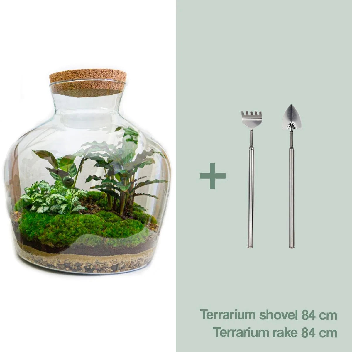 Flaschengarten - Sam XL - ↕ 35 cm - Rake + Shovel + Tweezer + Scissors