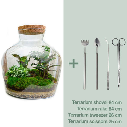 Flaschengarten - Sam XL - ↕ 35 cm - Rake + Shovel + Tweezer + Scissors