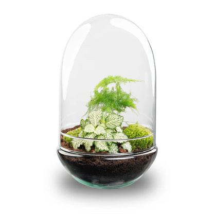 DIY Flaschengarten-Set – Glas-Ei XL (30 cm)