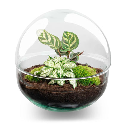 Flaschengarten Dome 20 cm - Rechen + Schaufel