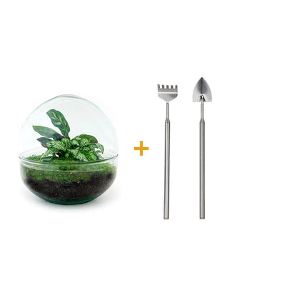 Flaschengarten - Dome - ↕ 20 cm - Werkzeugset