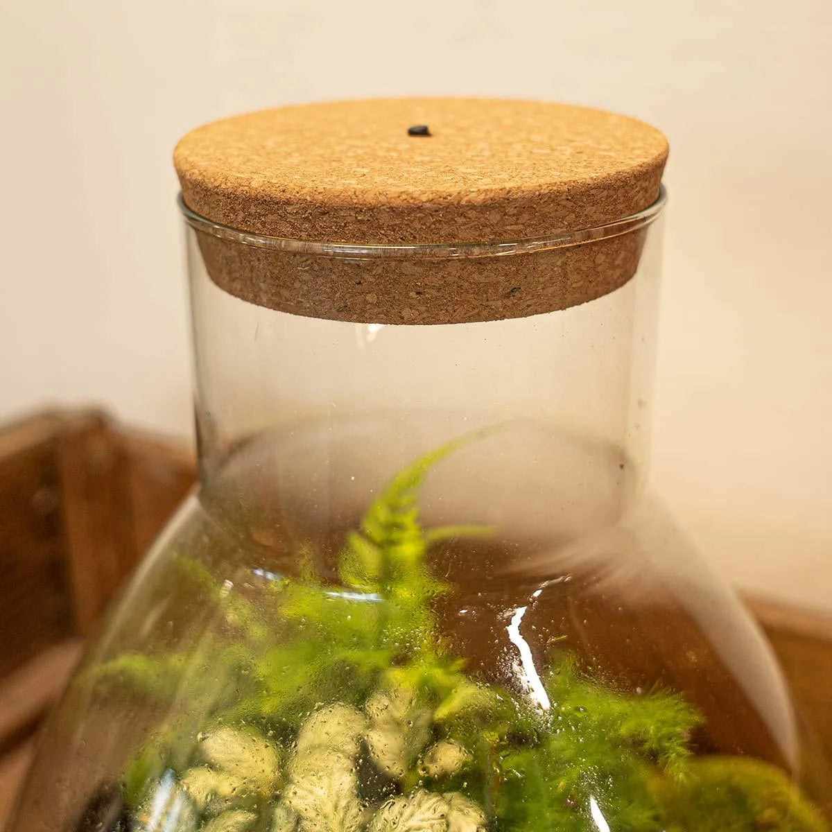 LED-Korken L - Korken mit Beleuchtung - LED-Lampe für Terrarium - 13,2 x 11,9 x 3,5 cm