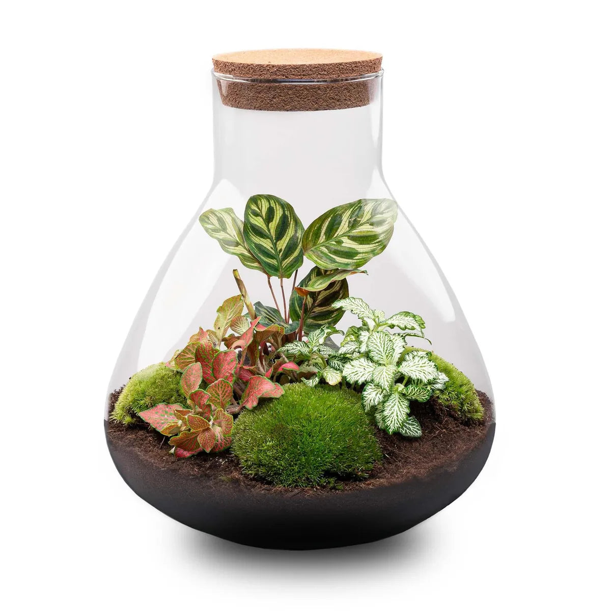 LED-Korken L - Korken mit Beleuchtung - LED-Lampe für Terrarium - 13,2 x 11,9 x 3,5 cm