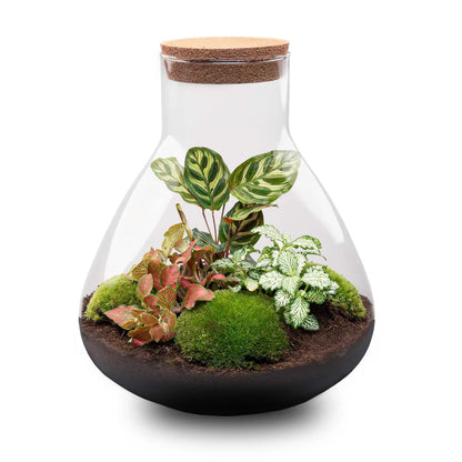 LED-Korken L - Korken mit Beleuchtung - LED-Lampe für Terrarium - 13,2 x 11,9 x 3,5 cm