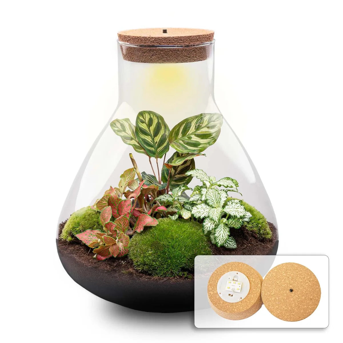 LED-Korken S – kabellose LED-Lampe