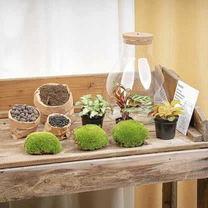 Flaschengarten - Dome XL - ↕ 30 cm - Werkzeugset