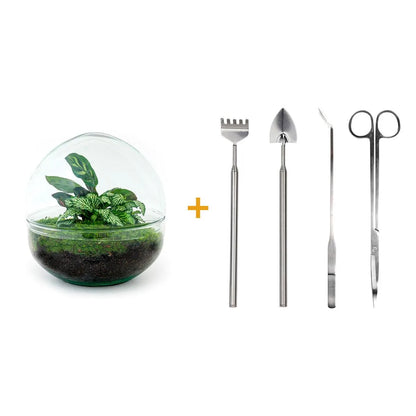 Flaschengarten - Dome XL - ↕ 30 cm - Werkzeugset