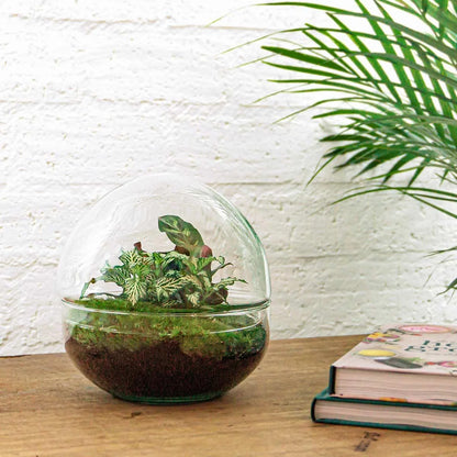 Flaschengarten - Dome XL - ↕ 30 cm - Werkzeugset