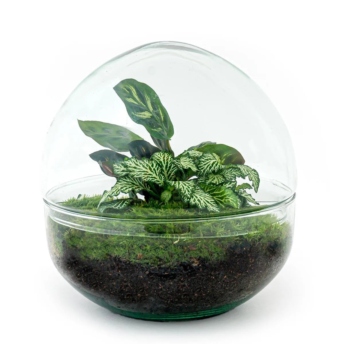 Flaschengarten - Dome XL - ↕ 30 cm - Rechen + Schaufel