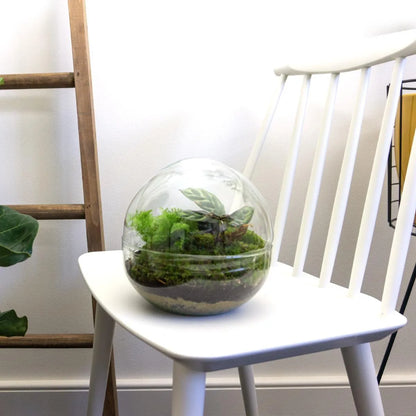 Flaschengarten - Dome XL - ↕ 30 cm - Rechen + Schaufel