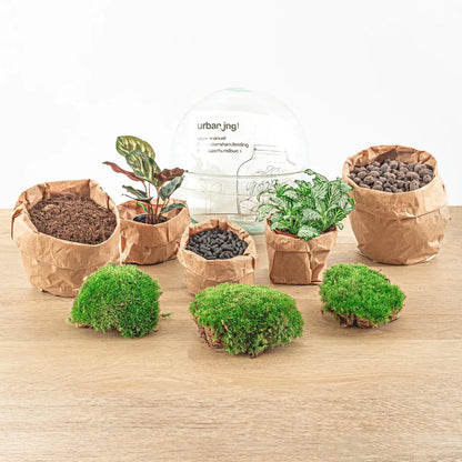 Flaschengarten - Dome XL - ↕ 30 cm