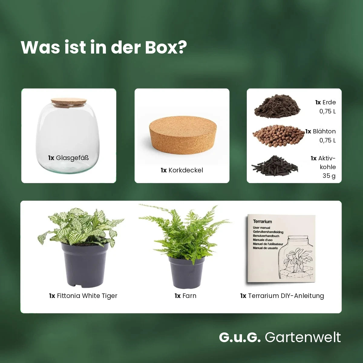 Farnwelt – Flaschengarten
