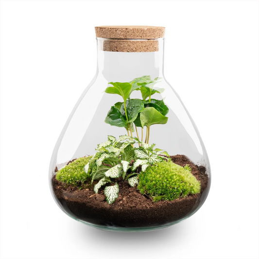 Flaschengarten - Sammie Coffea - ↕ 26 cm Werkzeugset
