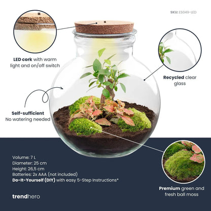 Terrarien-Flasche (mit) Beleuchtung - Teddy - Ø 25 cm ↑ 26,5 cm - Ohne LED-Korken