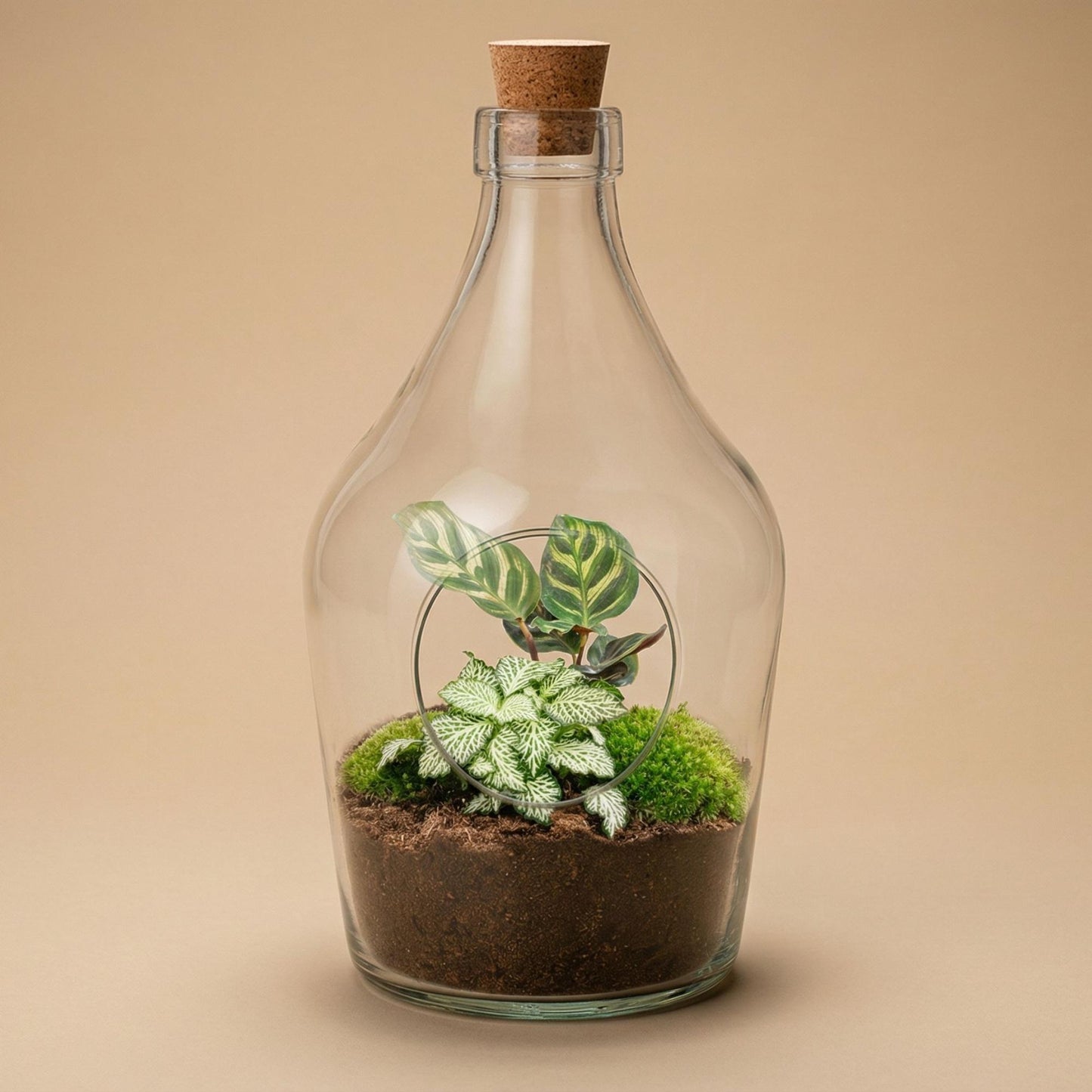 Offenes Terrarium John – Mini-Ökosystem