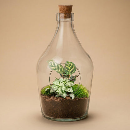 Offenes Terrarium John – Mini-Ökosystem