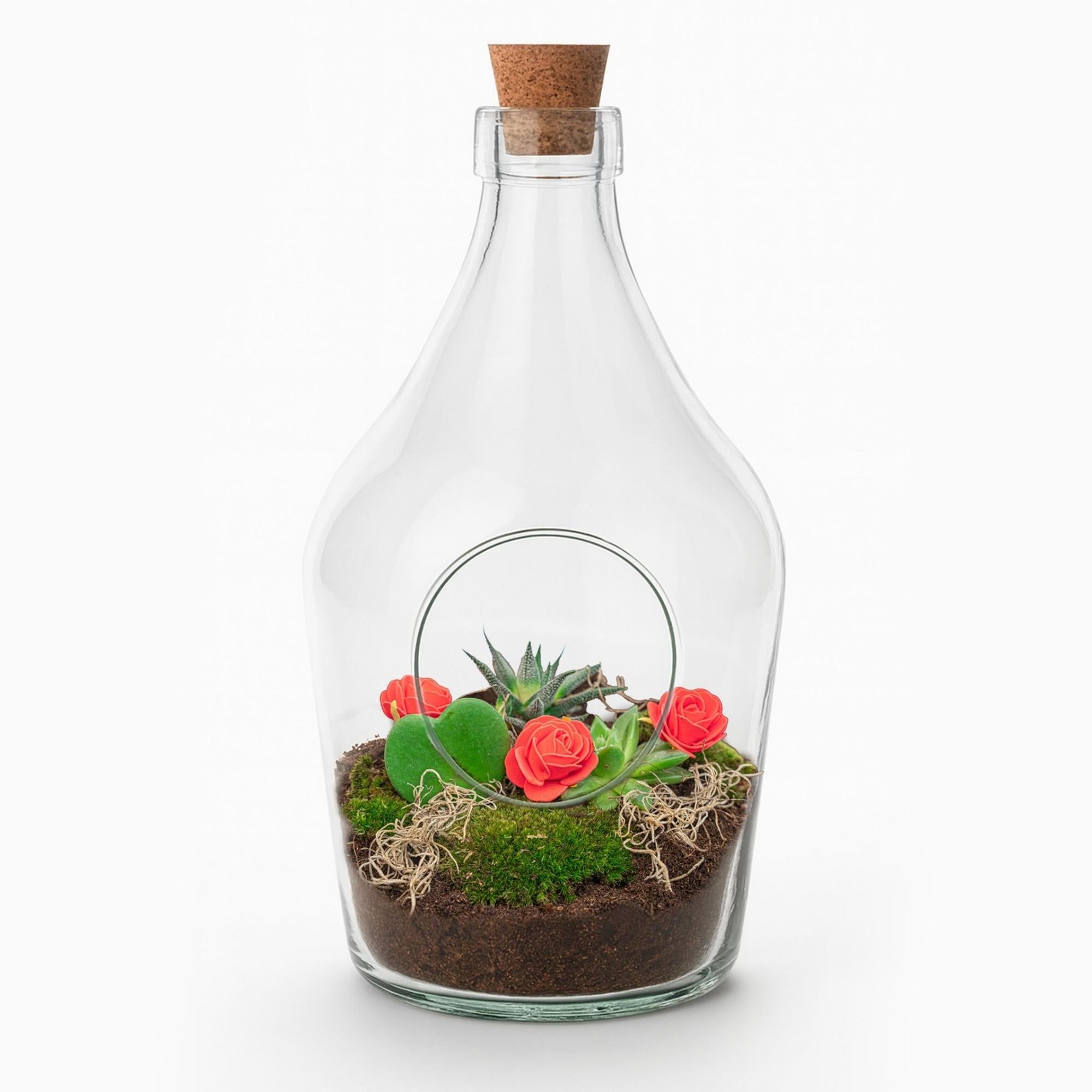 Liebe in der Flasche – DIY Terrarium Geschenkset mit Herzblatt & Sukkulenten