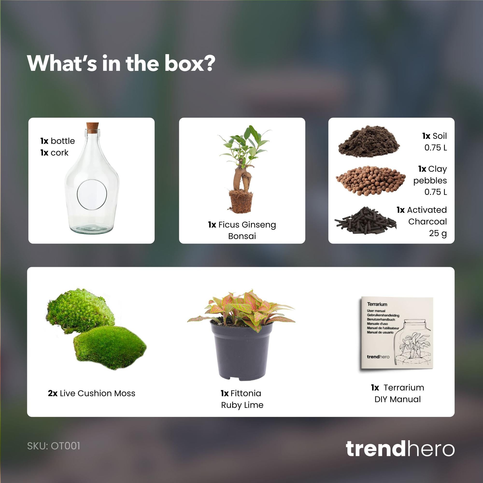 Offenes Terrarium John – Natürliches Grün für Ihr Zuhause