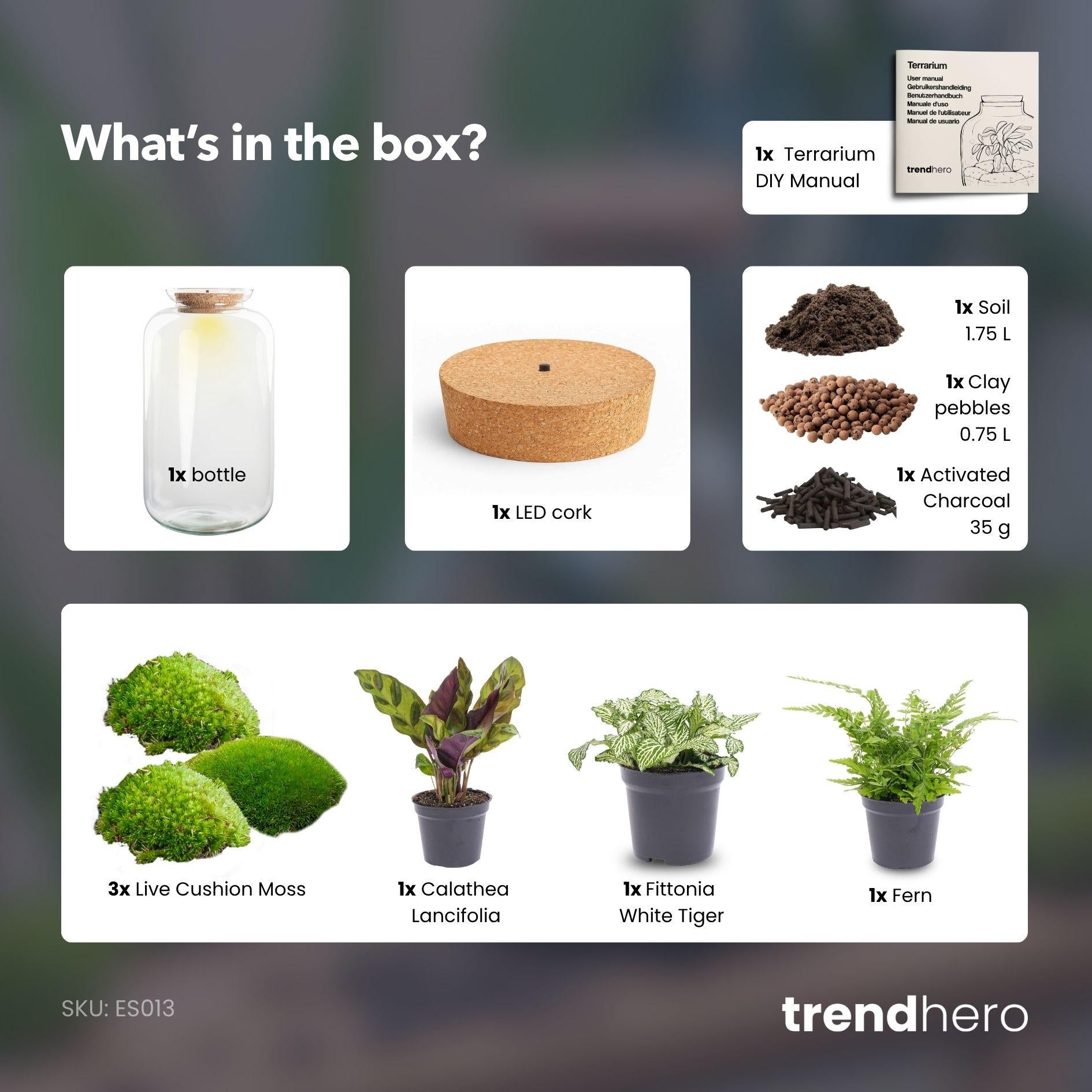 Flaschengarten - Botanical Sven XL 43 cm