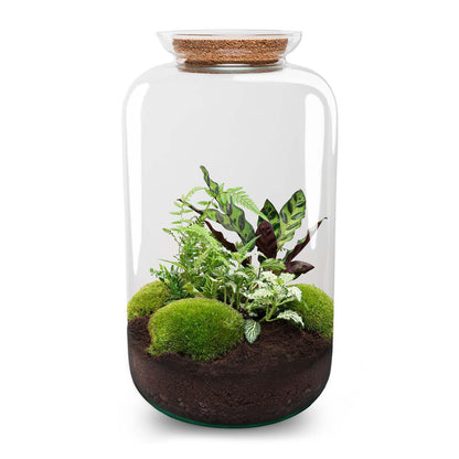 Flaschengarten - Botanical Sven XL 43 cm