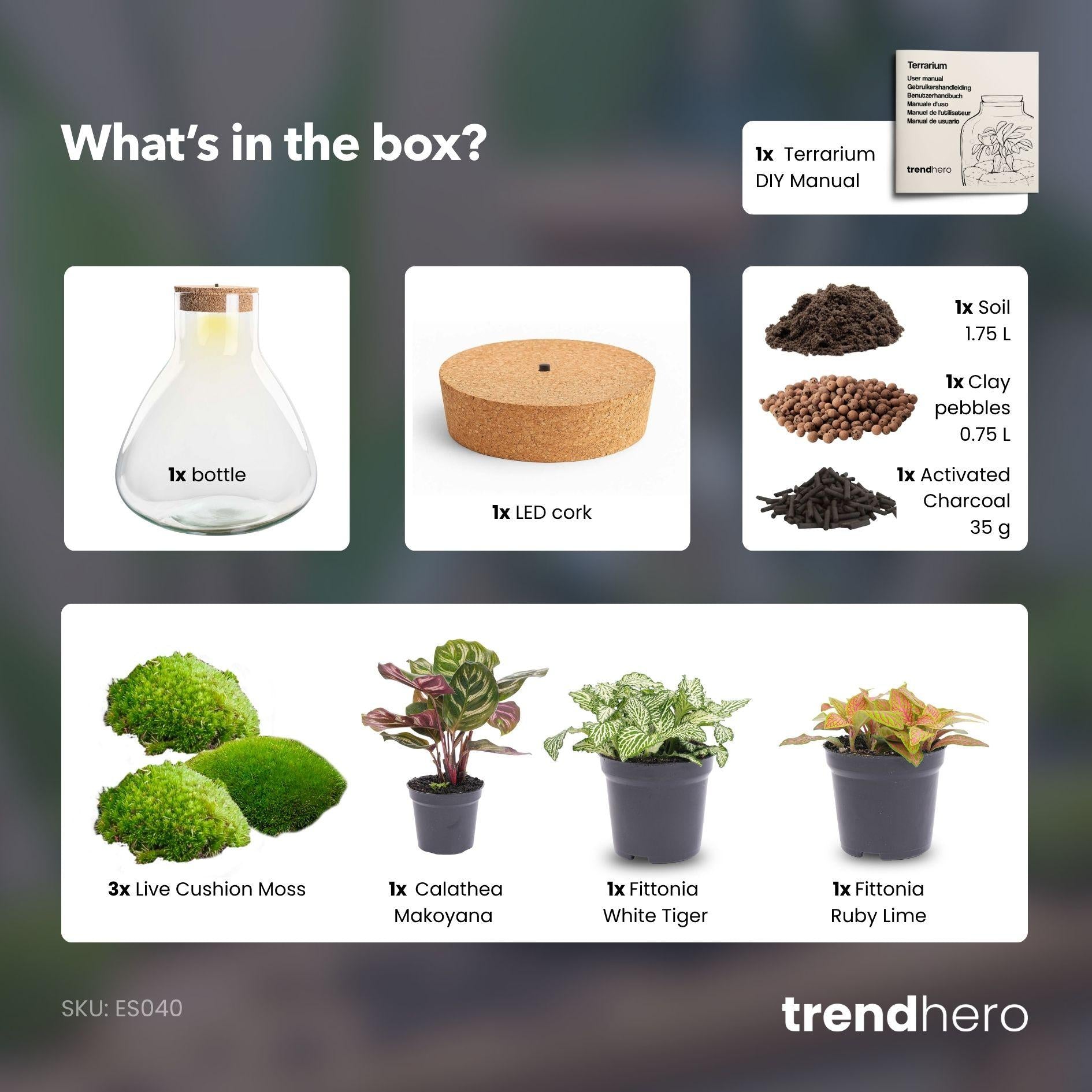 Flaschengarten - Sam XL Rot - ↕ 35 cm