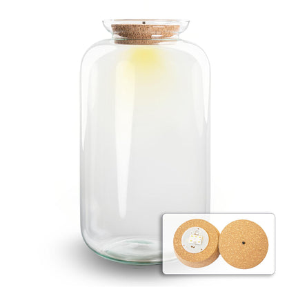 Terrarien-Flasche mit Beleuchtung - Sven XL - Ø 23 cm ↑ 43 cm