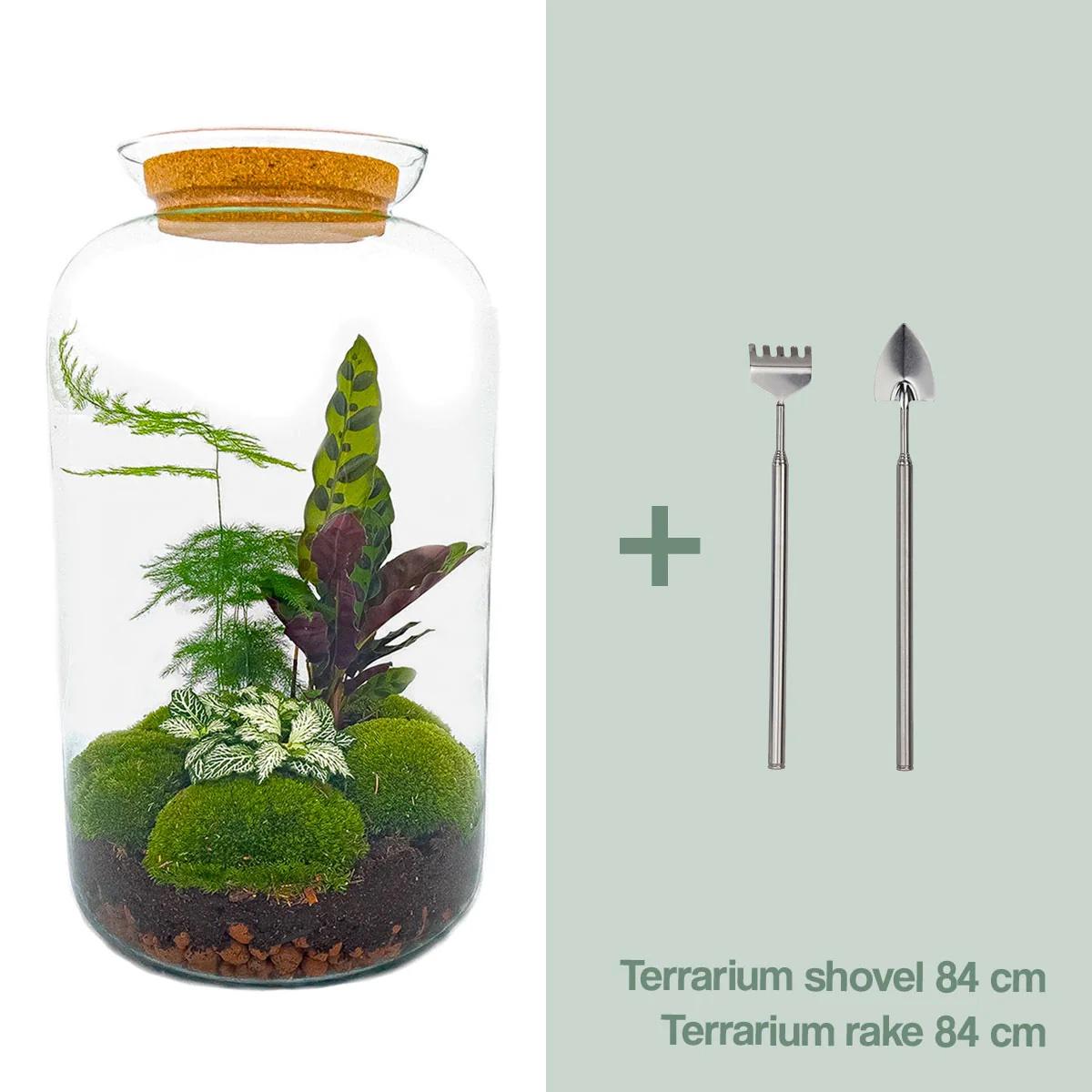 Flaschengarten - Botanical Sven XL 43 cm - Rechen + Schaufel