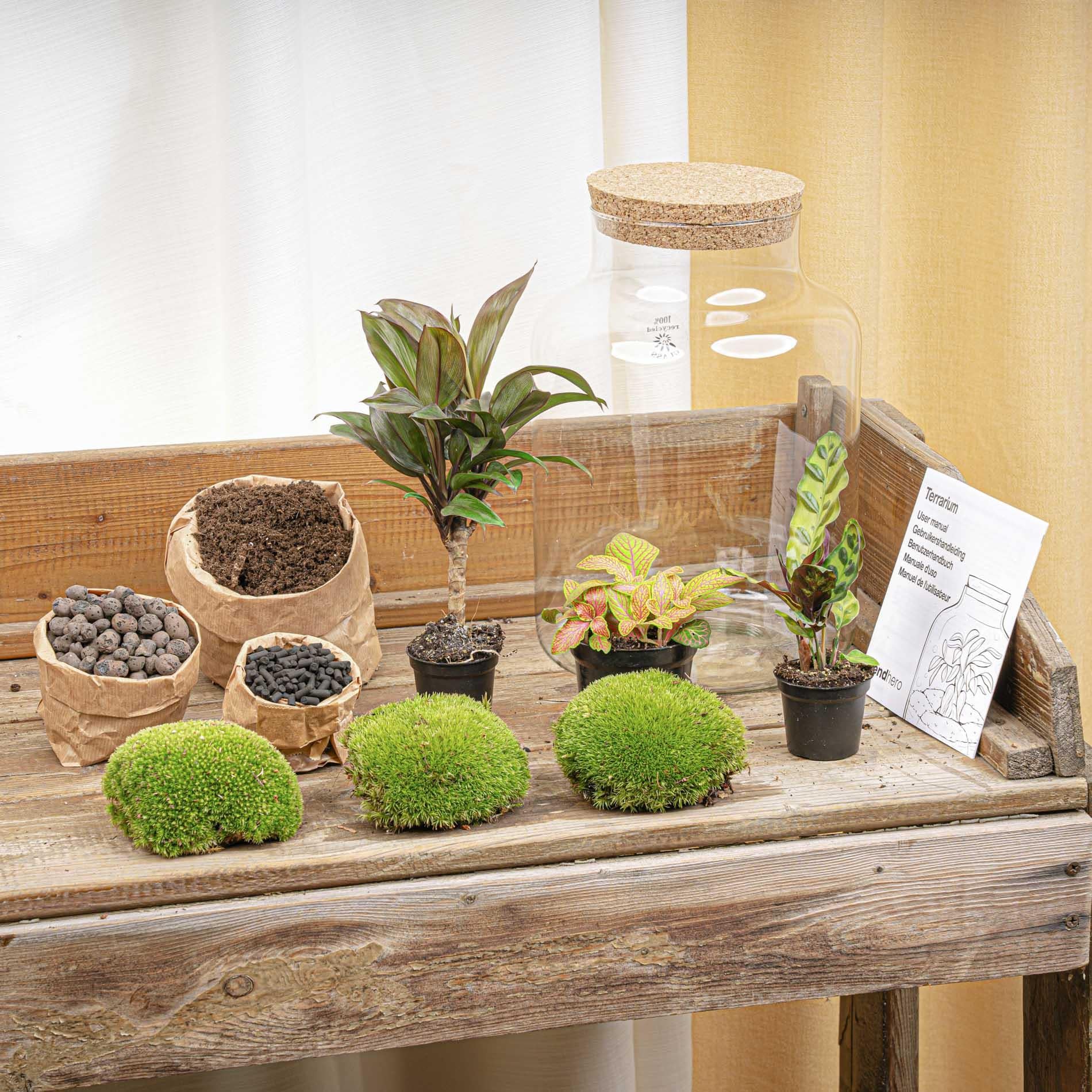 DIY Planten terrarium met licht - Milky Palm - Ø 21 cm ↑ 30 cm - G.u.G. Gartenwelt