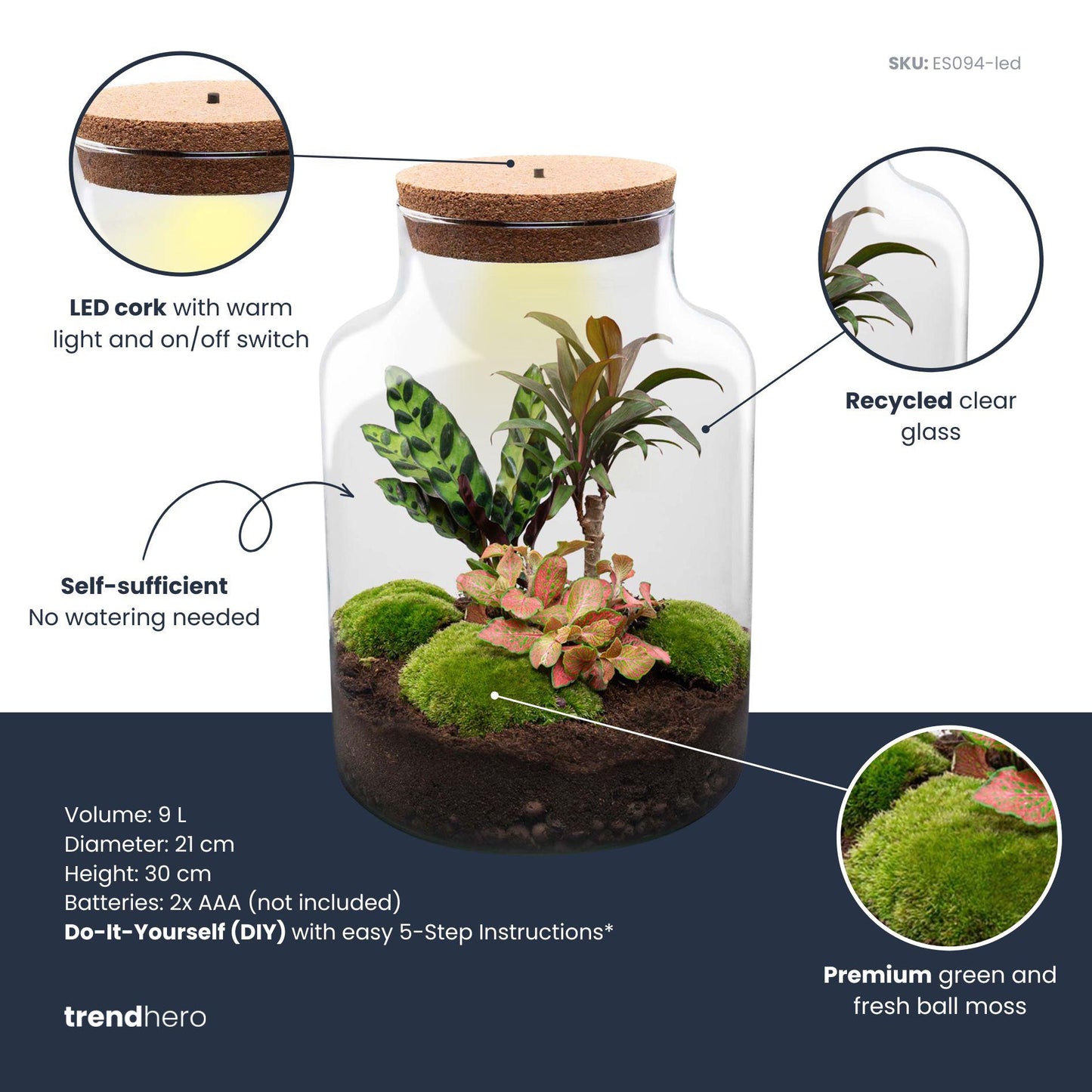 DIY Planten terrarium met licht - Milky Palm - Ø 21 cm ↑ 30 cm - G.u.G. Gartenwelt