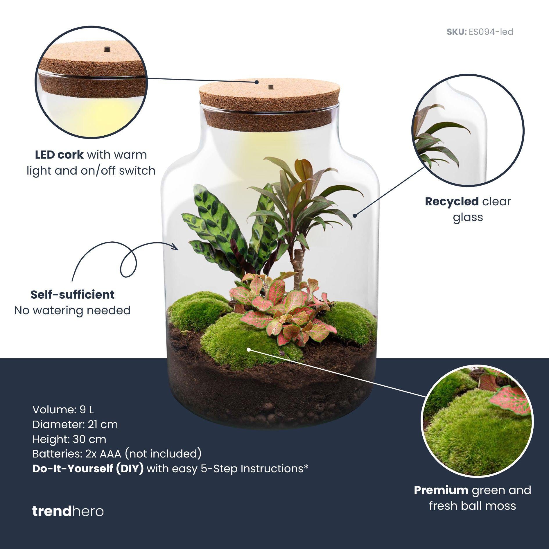 DIY Planten terrarium met licht - Milky Palm - Ø 21 cm ↑ 30 cm - G.u.G. Gartenwelt