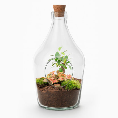 Offenes Terrarium John – Natürliches Grün