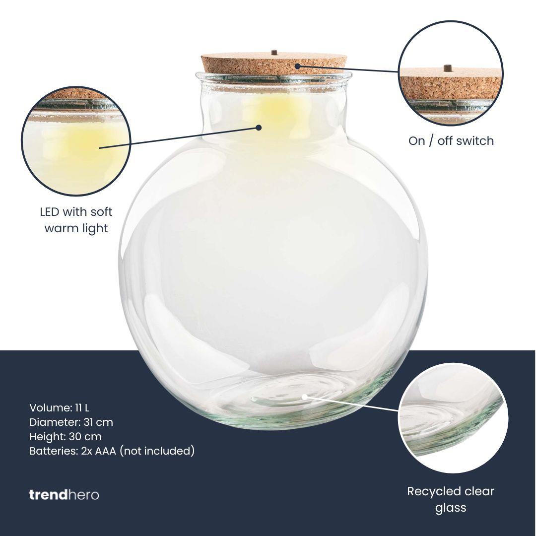Terrarium fles met kurk - Bolder Bob - Ø 30 cm ↑ 31 cm - Zonder LED-kurk - G.u.G. Gartenwelt