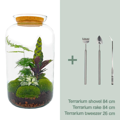 Flaschengarten - Botanical Sven XL 43 cm - Werkzeugset 3 Teilig