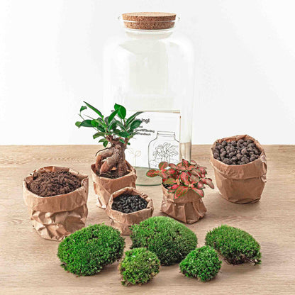 Flaschengarten - Sven Bonsai - ↕ 43 cm - Rake + Shovel