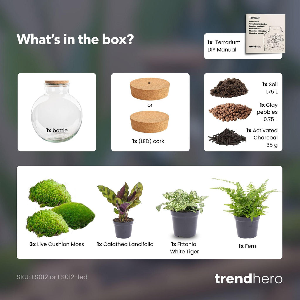 Flaschengarten - Bolder Bob 30 cm