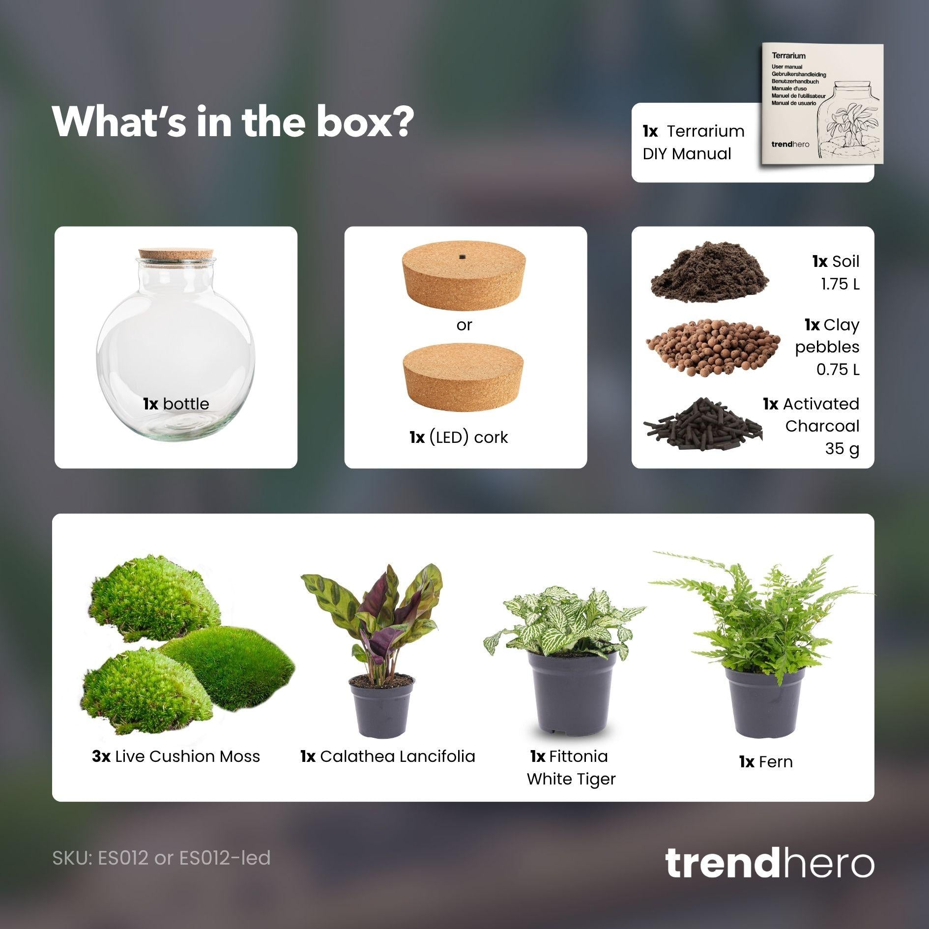 Flaschengarten - Bolder Bob 30 cm