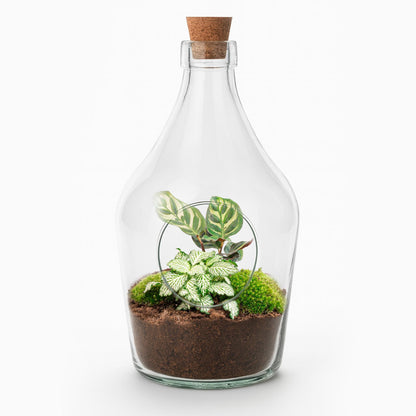 Offenes Terrarium John – Mini-Ökosystem