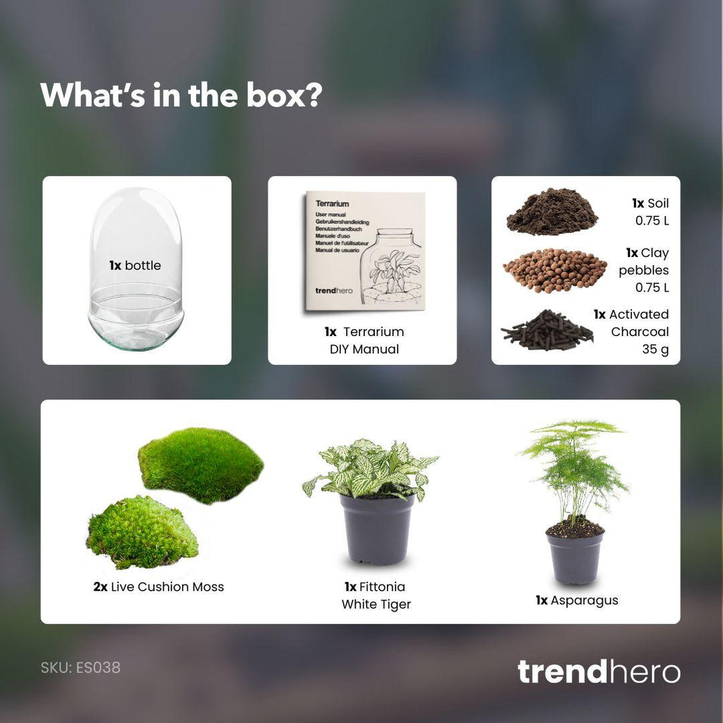 DIY Flaschengarten‑Set – Glas-Ei XL (30 cm)