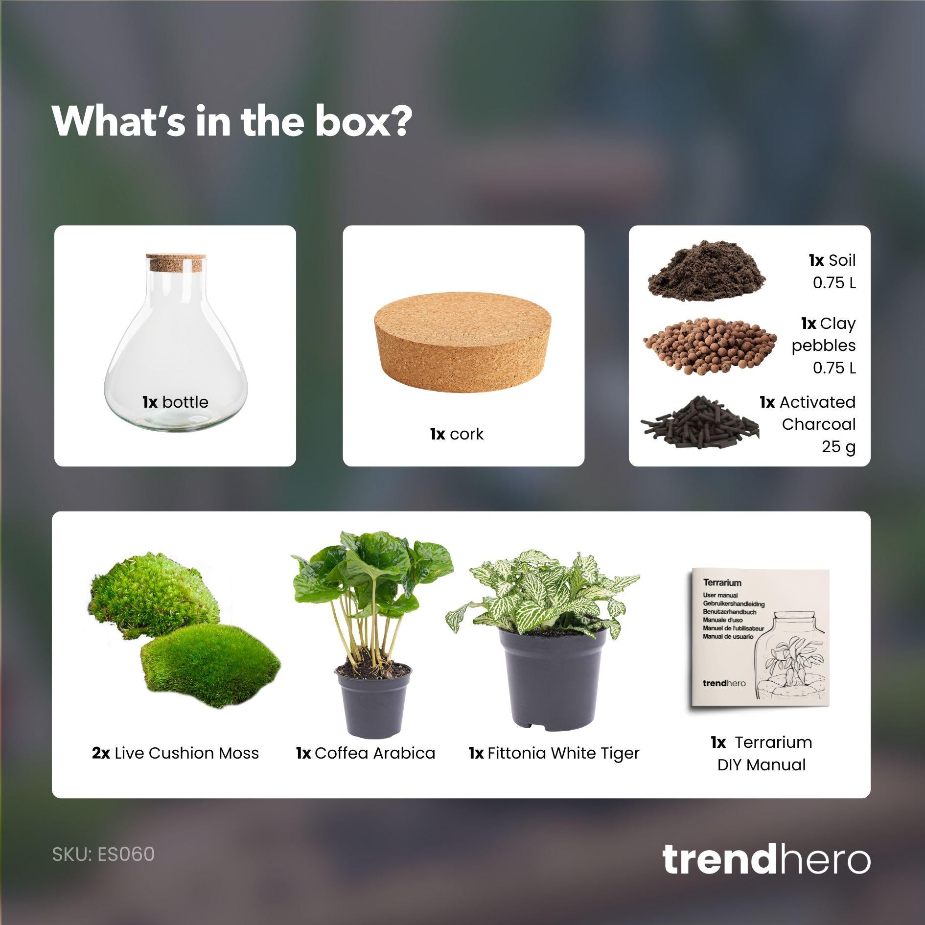 Flaschengarten– Sammie 27 cm