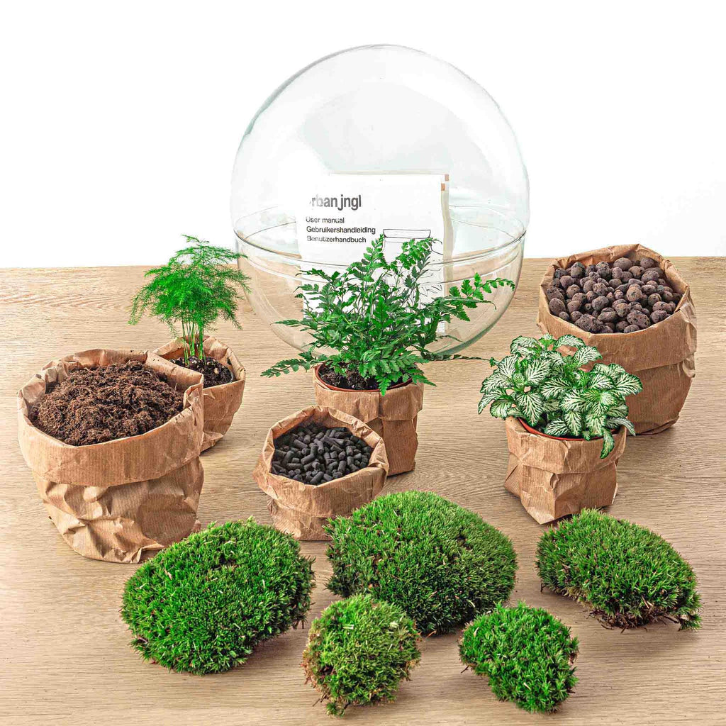 Flaschengarten - Dome XL - ↕ 30 cm - Rechen + Schaufel + Pinzette + Schere